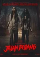 Дорога домой